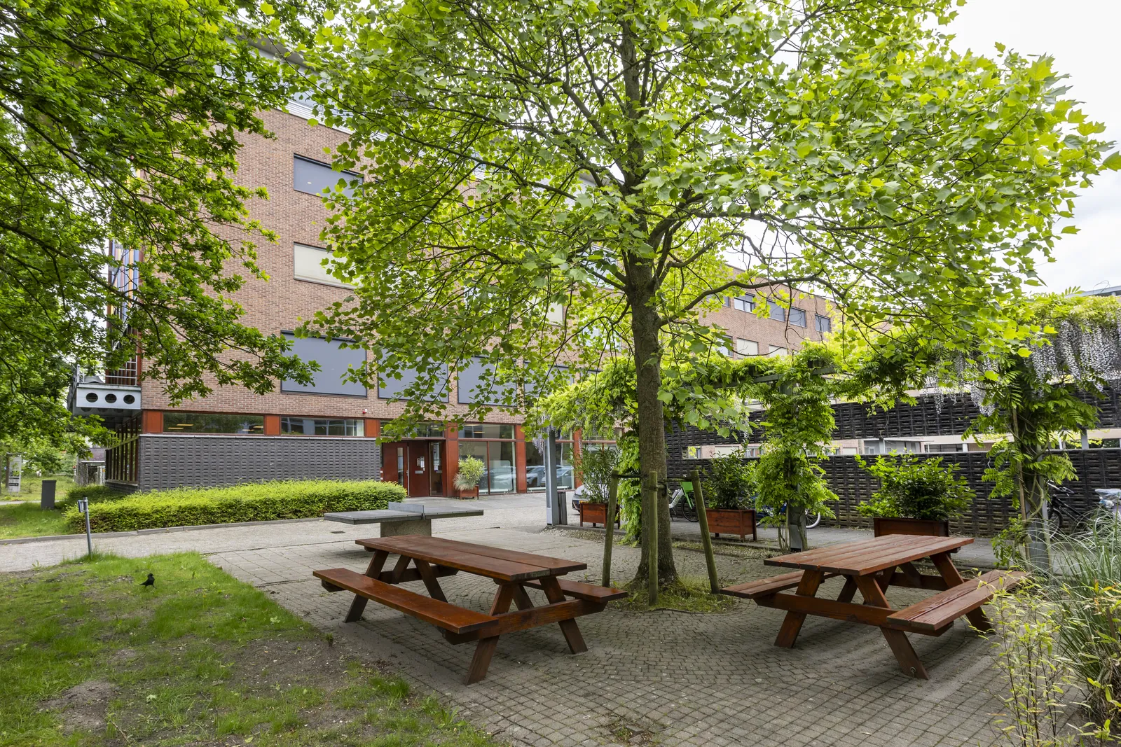 Gedeelde flexwerkplekken in Delft aan een lange tafel met stopcontacten binnen handbereik