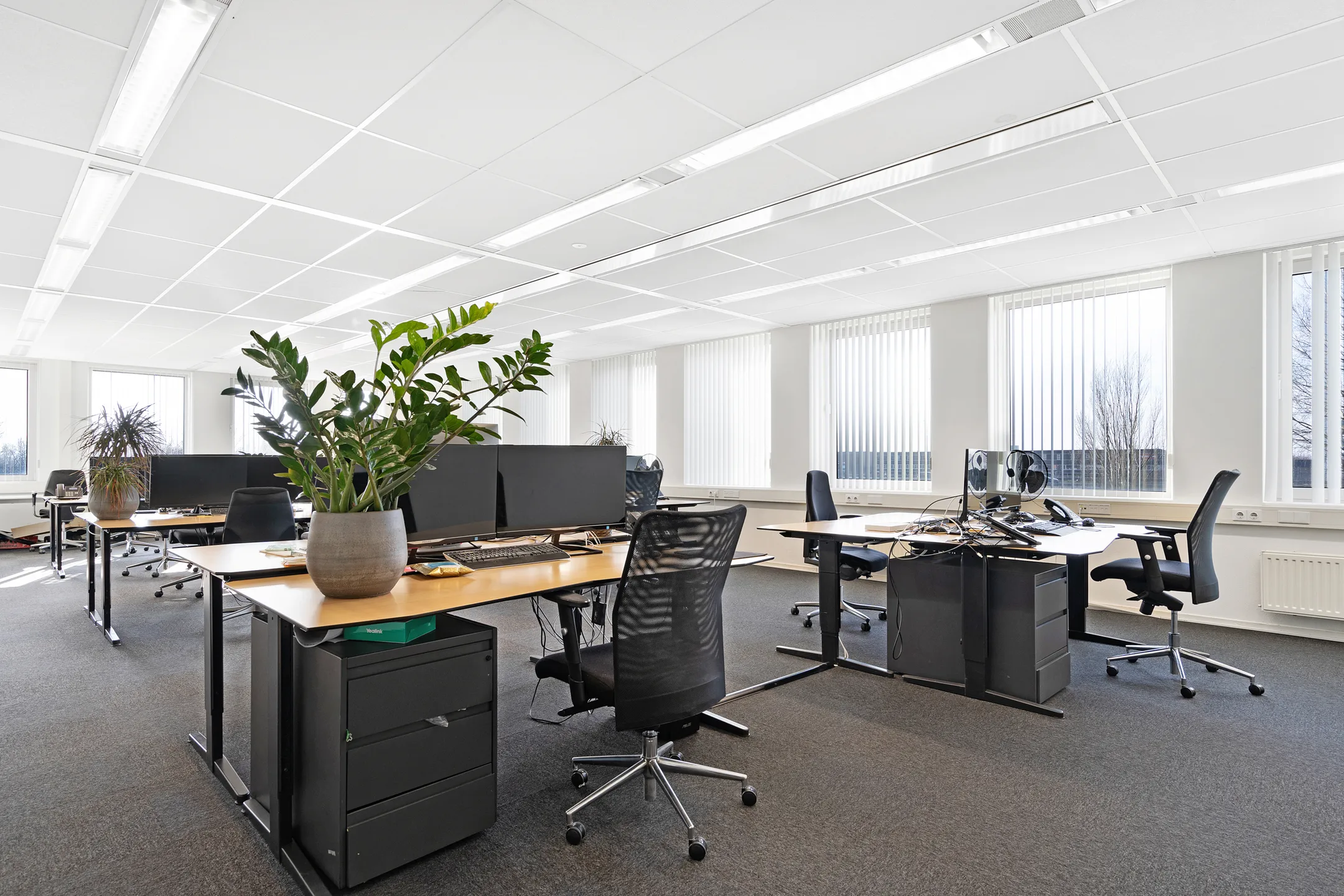 Ingerichte kantoorunit met bureaus en planten bij FlexOffiZ Ede